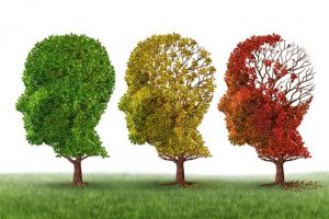 Read more about the article Az Alzheimer-kór következményei