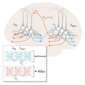 Read more about the article Mennyire hasonlít egy mesterséges neurális háló egy valódira?