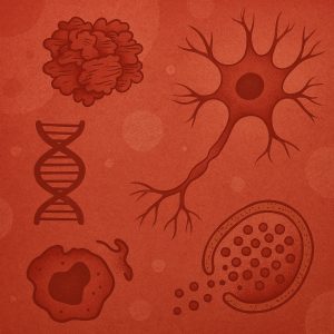 Epigenetika a neurodegeneráció hátterében